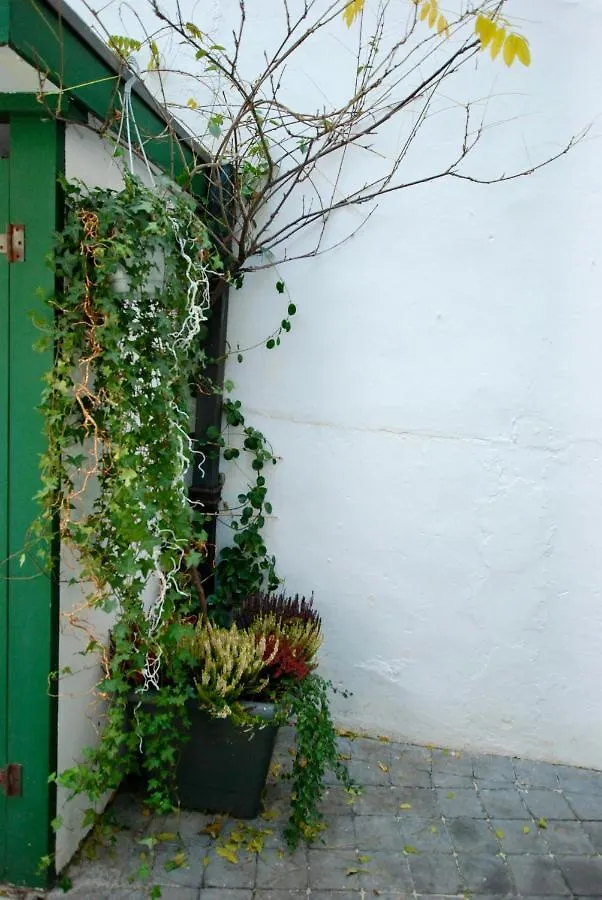 The 16Th Century Horse Alley Διαμέρισμα Αμβέρσα